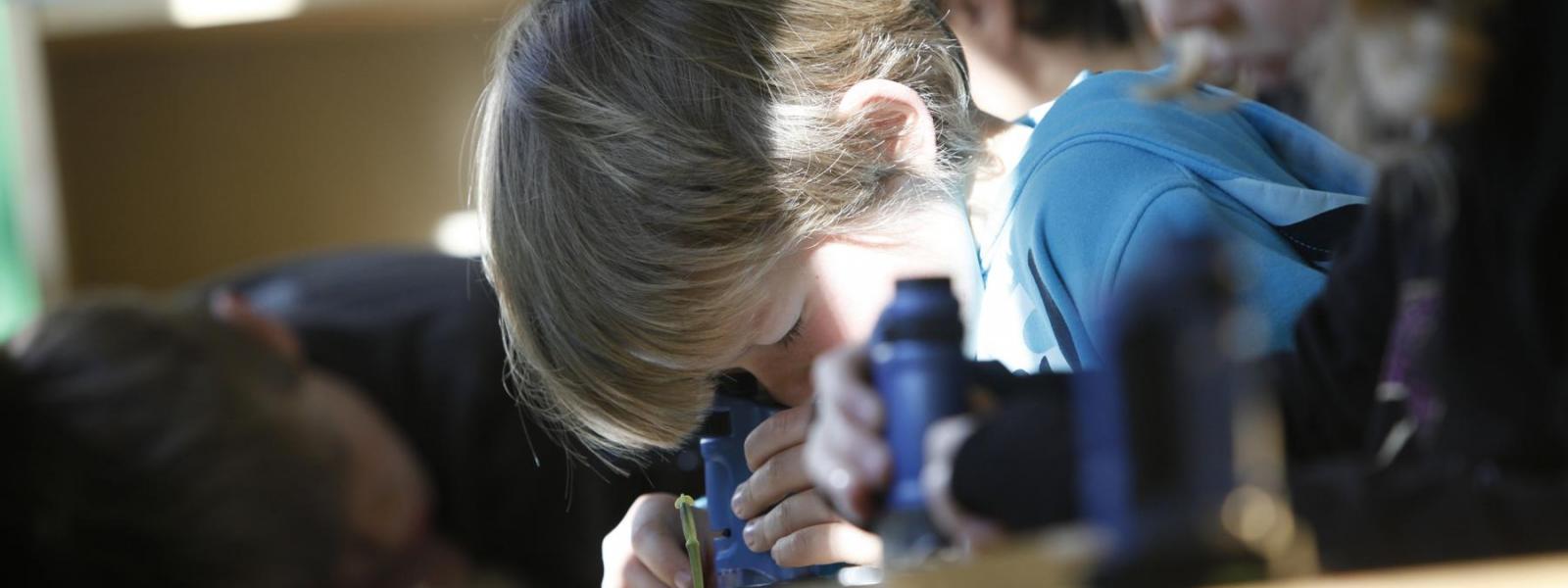 Kinder beim Forschen